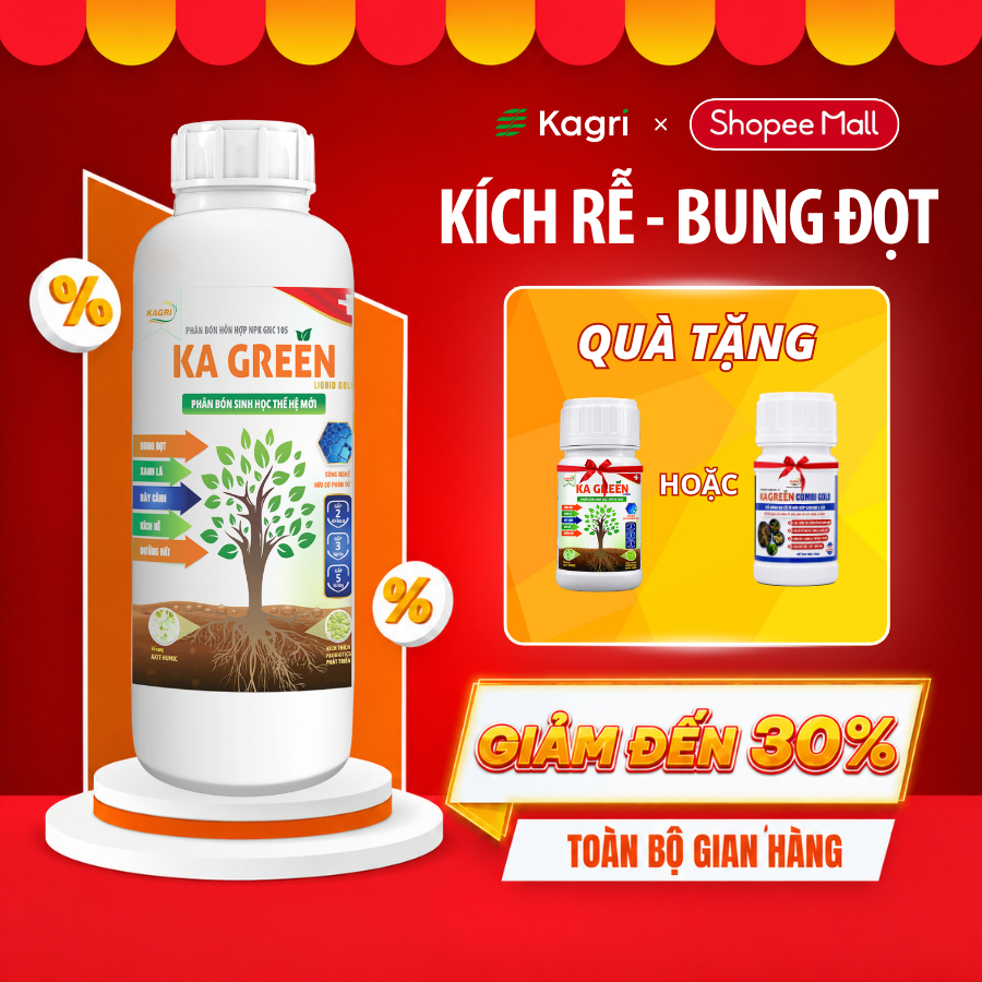 Phân Bón Sinh Học KA GREEN LIQUID 1L – Kích Rễ, Bung Đọt, Mập Cành, Dưỡng Đất, Phân Bón Lá – KAGRI