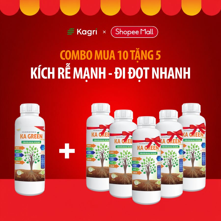 [MUA 10 TẶNG 5] 15 Chai Phân Bón Sinh Học KA GREEN LIQUID 1 Lít Kích Rễ, Bung Đọt, Dưỡng Đất, Dày Lá