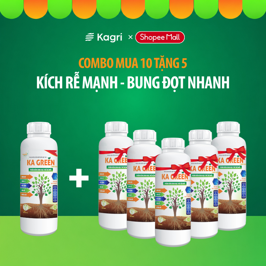 [Mua 10 Tặng 5] 15 Chai Phân bón KA GREEN LIQUID – Kích Rễ, Bung Đọt, Dưỡng Đất, Dày Lá –KAGRI Store