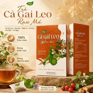 Trà Cà Gai Leo Rau Má Túi Lọc – Trà Thảo Mộc Cà Gai Leo, Rau Má, Diếp Cá, An Xoa | Hộp 30 Gói 90g | Phố Núi Store