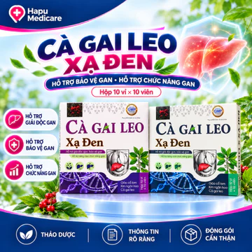 Viên Uống Cà Gai Leo Xạ Đen 100 Viên – Công Thức Giảo Cổ Lam, Hỗ Trợ Bảo Vệ Gan