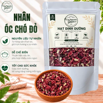 Nhân Óc Chó Đỏ Sống Cao Nguyên Green. Hạt Óc Chó Tách Vỏ, Làm Sữa Hạt, Ăn Vặt, Làm Bánh