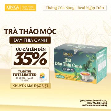 [HÀNG CHÍNH HÃNG] Trà Dây Thìa Canh KINKA Hộp 25 túi Trọng Lượng 50g - Trà Túi Lọc 2g Hỗ Trợ Ổn Định Đường Huyết