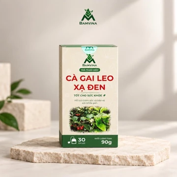 TRÀ GAI LEO XẠ ĐEN BAMVINA ORGANIC – TRÀ THẢO MỘC TỰ NHIÊN