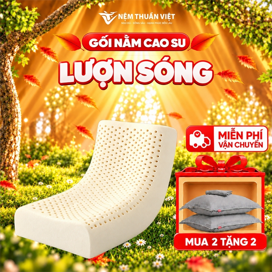 [Mua 2 Tặng 2 Áo Gối] Gối Ngủ Cao Su Thuần Việt, Êm Ái, Mềm Mát, Đầy Đủ Kích Thước | BigBuy360 - bigbuy360.vn