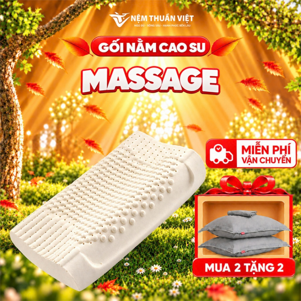 [Mua 2 Tặng 2 Áo Gối] Gối Ngủ Cao Su Thuần Việt, Êm Ái, Mềm Mát, Đầy Đủ Kích Thước | BigBuy360 - bigbuy360.vn