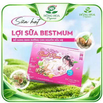 Sữa Hạt Lợi Sữa Best Mum - Hộp 900 Gam - Chiết Xuất Cỏ Cà Ri Và Dầu Hạt Hoa Rum - Nâng Cao Chất Lượng Sữa Mẹ