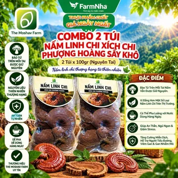 (Combo 2) Nấm Linh Chi Xích Chi Phượng Hoàng Moshav Farm 100gr Sấy Khô - Hỗ Trợ Sức Khỏe Toàn Diện