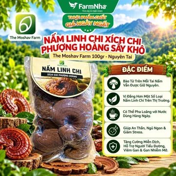 Nấm Linh Chi Xích Chi Phượng Hoàng Moshav Farm 100gr Sấy Khô - Hỗ Trợ Sức Khỏe Toàn Diện