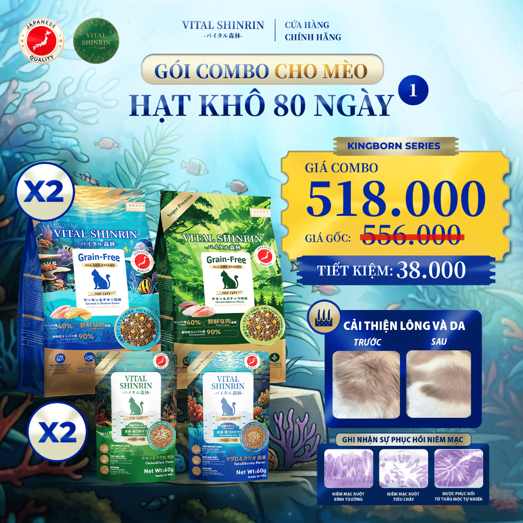 Combo Vital Shinrin hạt khô 80 ngày dòng Kingborn | Shopee Việt Nam