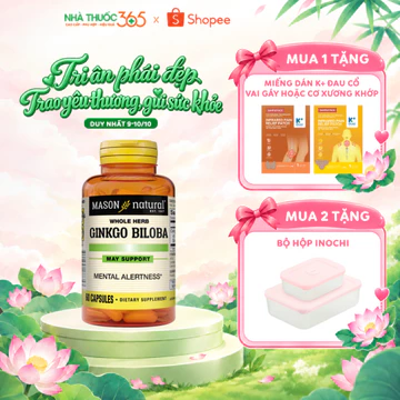 Viên Uống Mason Natural Ginkgo Biloba Hỗ Trợ Chức Năng Bộ Não, Hệ Thần Kinh 60 Viên