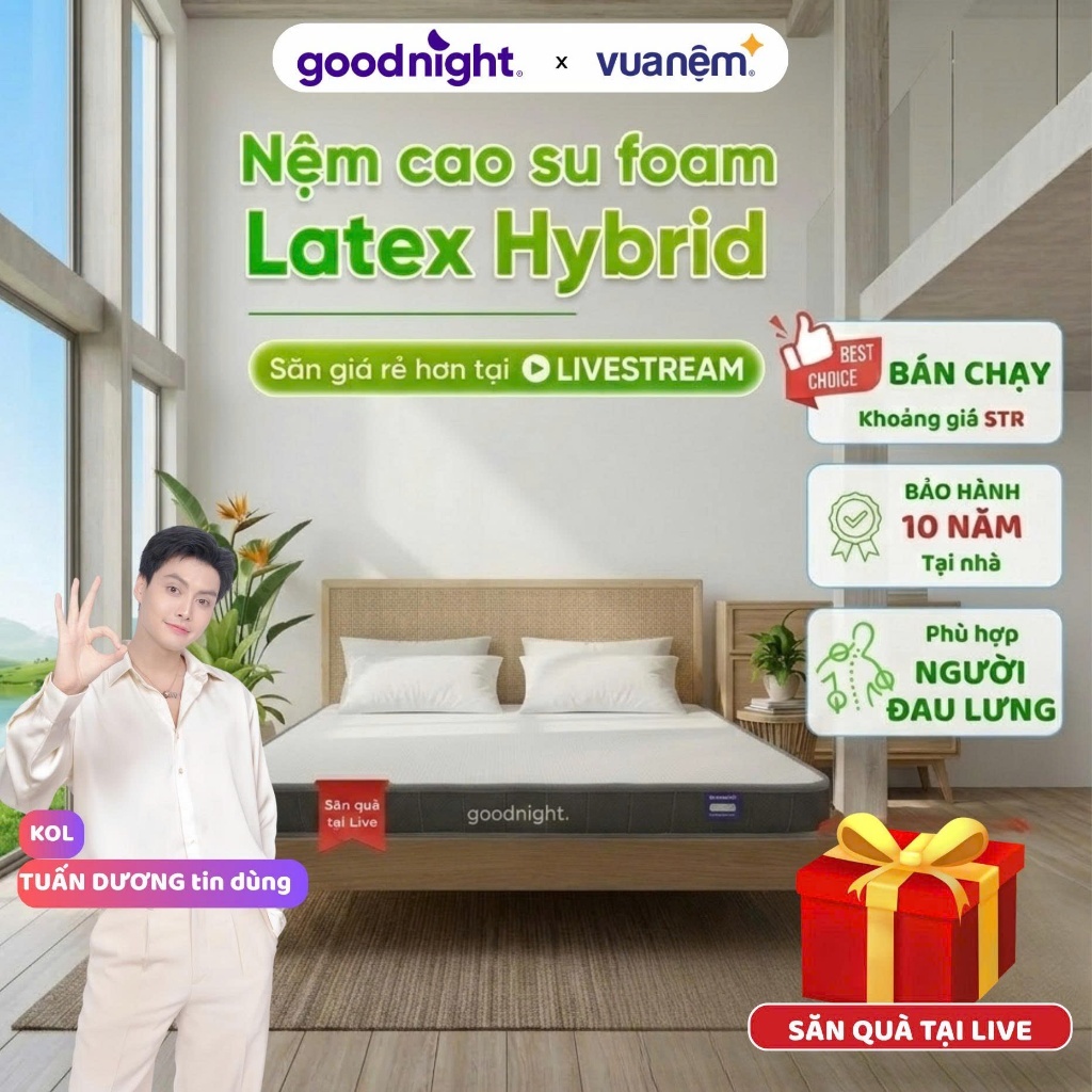[TẶNG GỐI] Nệm Cao Su Foam Vua Nệm Goodnight Latex Hybrid 10cm, Đệm Người Đau Lưng (Không phải cao su non)