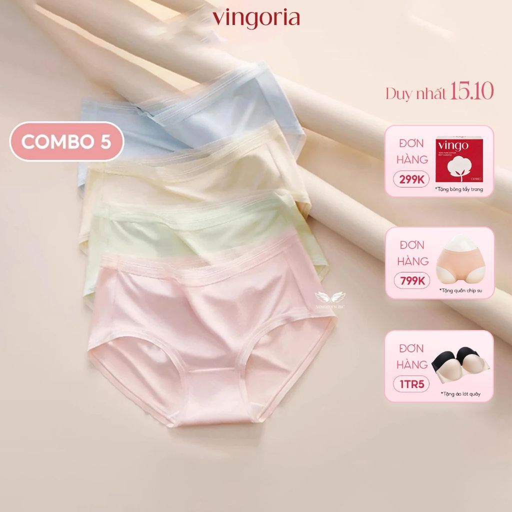 Combo 5 quần lót nữ cotton VINGO/VINGORIA phối viền ren kháng khuẩn CB106