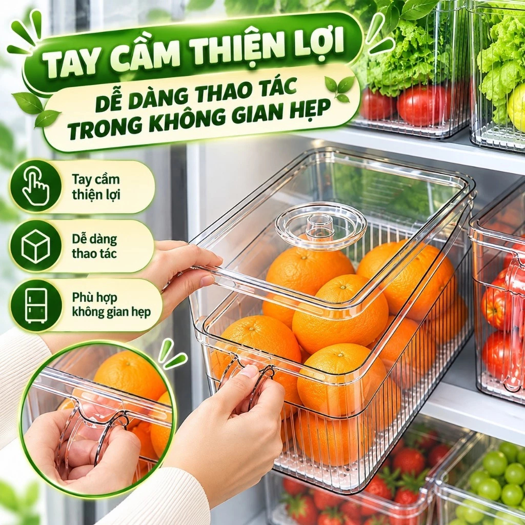 Hộp Đựng Đồ Ăn Tủ Lạnh Có Quai Cầm, Khay Lót Ráo Nước, Bảo Quản Rau Củ Trái Cây Gọn Gàng | BigBuy360 - bigbuy360.vn