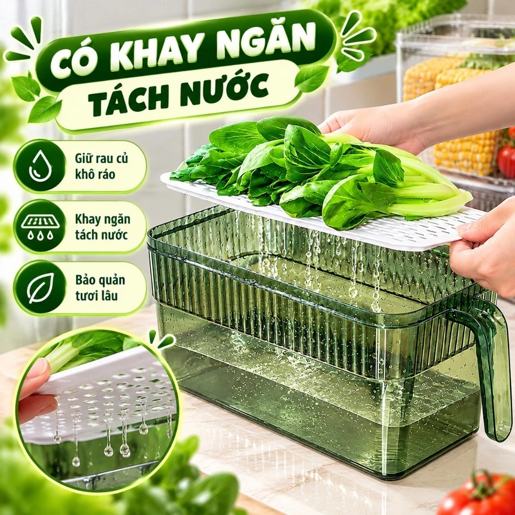 Hộp Đựng Đồ Ăn Tủ Lạnh Có Quai Cầm, Khay Lót Ráo Nước, Bảo Quản Rau Củ Trái Cây Gọn Gàng | BigBuy360 - bigbuy360.vn