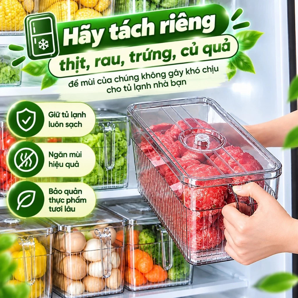 Hộp Đựng Đồ Ăn Tủ Lạnh Có Quai Cầm, Khay Lót Ráo Nước, Bảo Quản Rau Củ Trái Cây Gọn Gàng | BigBuy360 - bigbuy360.vn