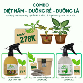 Nhà Thương Cây - COMBO DIỆT NẤM HẠI - DƯỠNG RỄ - DƯỠNG LÁ