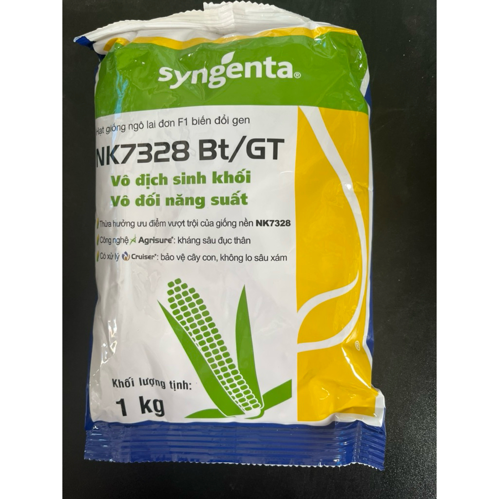 Hạt Giống Ngô (Bắp) lai Syngenta- Giống NK7328- Kháng sau benh
