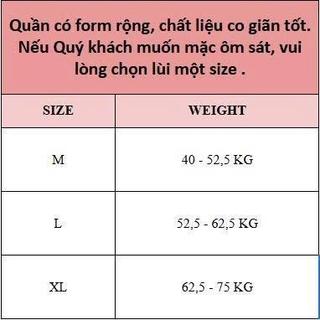 Quần lót nữ đáy tơ tằm mềm mịn, kháng khuẩn, thoáng khí, mỏng nhẹ như mây 2683