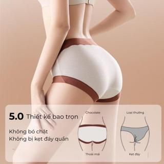 Set Quần Lót Santony Chocolate - Tencel 60S Mềm Mượt - Đáy Tơ Tằm Kháng Khuẩn (Box Quà) – SCL888