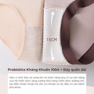 Set Quần Lót Santony Chocolate - Tencel 60S Mềm Mượt - Đáy Tơ Tằm Kháng Khuẩn (Box Quà) – SCL888
