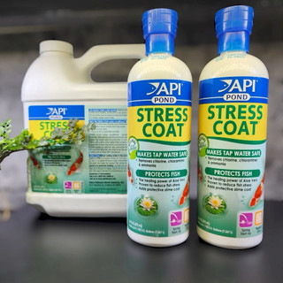 API Stress Coat Pond - Giảm stress, khử độc tố và tạo nhớt cho cá cảnh nước ngọt