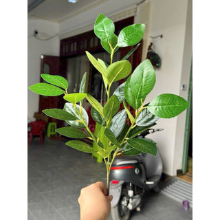 [ Loại 1]Cành lá chanh , lá chè 3 nhánh 65cm - cây lá giả cao cấp