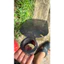 Cuốc đất làm vườn cuốc đất cứng đất đồi chất liệu thép đúc bản 14cm nặng 1,1-1,2kg
