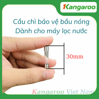 Cầu Chì 6x30mm - Dùng cho Máy Lọc Nước RO Nóng Lạnh Kangaroo, Karofi, Sunhouse,...