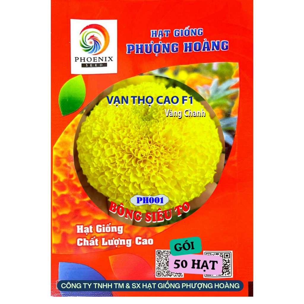 Hoa Vạn Thọ Pháp Cao PH001 Vàng Chanh Nhụy Xanh Hạt Giống Phượng Hoàng