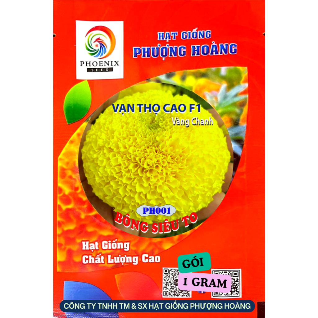 Hoa Vạn Thọ Pháp Cao PH001 Vàng Chanh Nhụy Xanh Hạt Giống Phượng Hoàng