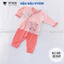 Bộ Dài Sơ Sinh Màu Thun Lạnh VT Chất Mềm Mịn Thấm Hút Mồ Hôi Cho Bé Sơ Sinh 3-9kg VT-DL119 Đậu Đậu Store