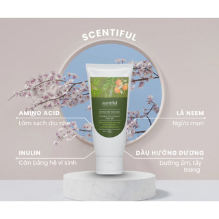Kem Rửa Mặt Thảo Dược Herbal Cleansing Cream | Scentiful – Làm Sạch Sâu, Dịu Nhẹ, Dưỡng Ẩm Da Nhạy Cảm 120g