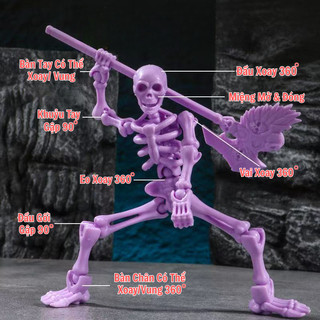 Đồ Chơi Mô Hình Hiệp Sĩ VS Bộ Xương Khớp Người Đàn Ông Skeleton Man Dummy Với Khớp Cử Động Linh Hoạt