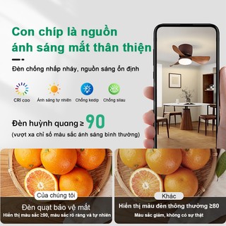 Quạt trần, đèn 3 chế độ, tốc độ gió lớn, hàng chính hãng Quạt trần mini