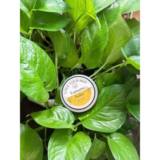 Kem Dưỡng Ẩm & Làm Dịu, Phục Hồi Da Thiên Nhiên - Bơ Mù U Tamanu Balm | Scentiful