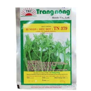 HẠT GIỐNG BÍ SIÊU NGỌN TN 379 GÓI 20GR