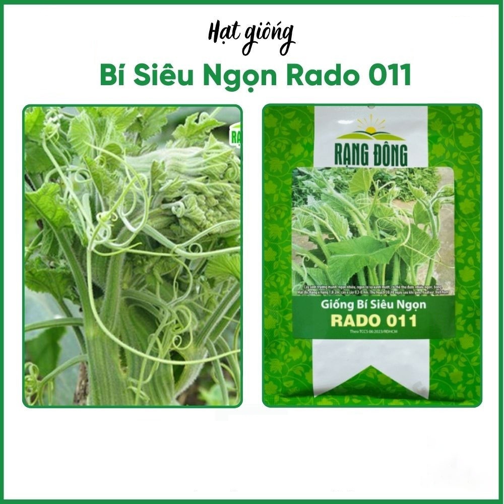 50 HẠT GIỐNG BÍ SIÊU NGỌN RADO 011 ( 50 hạt chiết từ gói lớn 500gr)