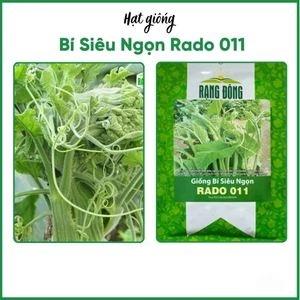50 HẠT GIỐNG BÍ SIÊU NGỌN RADO 011 ( 50 hạt chiết từ gói lớn 500gr)