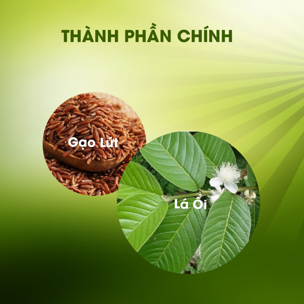 Trà Gạo Lứt - Lá Ổi túi lọc - Cân đối V2