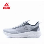 Giày Chạy Bộ Nam PEAK TAICHI running EXT52228H/EXT52227H — ảnh 1