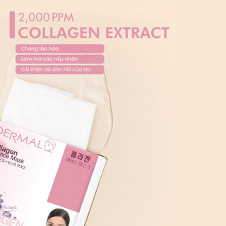 Mặt Nạ Dermal Collagen Essence Mask [Aloe / Red Ginseng / Collagen Essence] – Dưỡng Ẩm, Làm Dịu & Phục Hồi Da