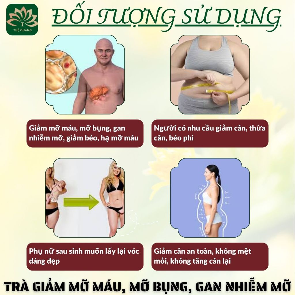 Thiết kế của Lọ Túi