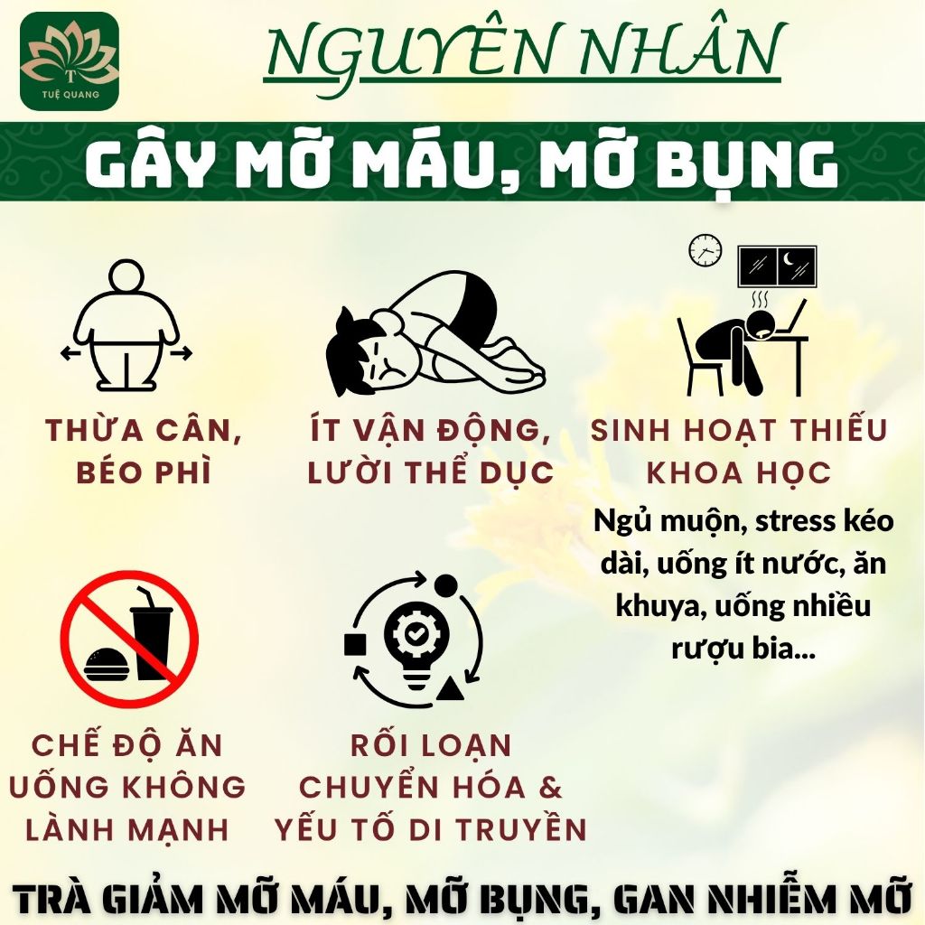 Sử dụng Túi trong đời sống