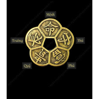 [MUA 1 TẶNG 1] Xu Hoa Mai Kim Tài Phong Thuỷ Đã Khai Quang 5 Cánh Trường - Mệnh - Thủ - Phú - Quý Decor