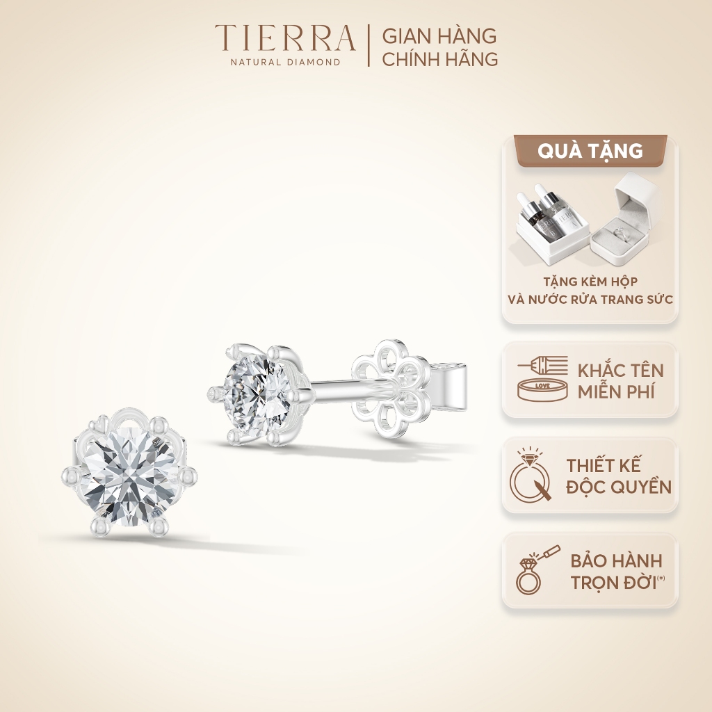 [CHAT TRƯỚC KHI ĐẶT] Bông Tai Nụ Tierra FBT0005 Vàng 10K, Đính Đá CZ 3.6mm, Thiết Kế Trơn, Đơn Giản, Phụ Kiện Trang Sức