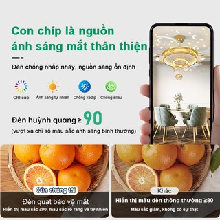 Quạt trần đèn trang trí cao cấp 2025 – quạt đèn kích thước lớn, điều khiển từ xa