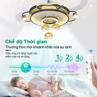 Quạt trần đèn trang trí cao cấp 2025 – quạt đèn kích thước lớn, điều khiển từ xa