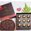 Socola nhân Macca Nam Trường Sơn ( Đắk Lắk)