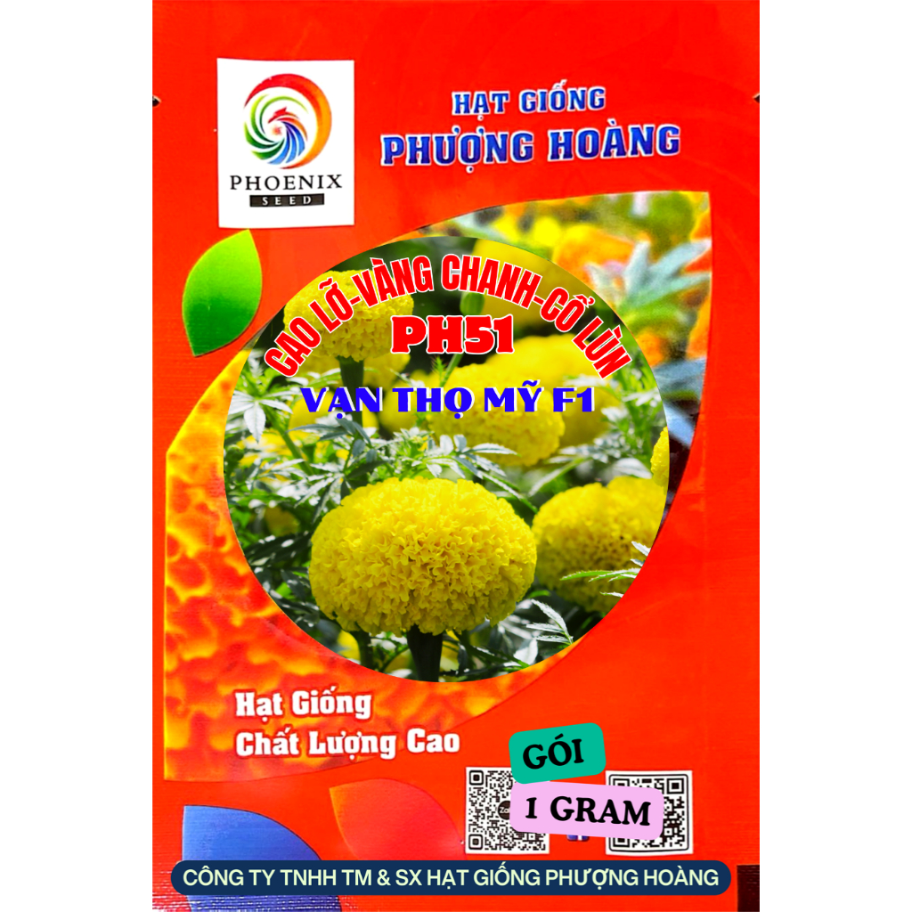 Hoa Vạn Thọ Mỹ Cao Lỡ Cổ Lùn PH51 Vàng Chanh Hạt Giống Phượng Hoàng